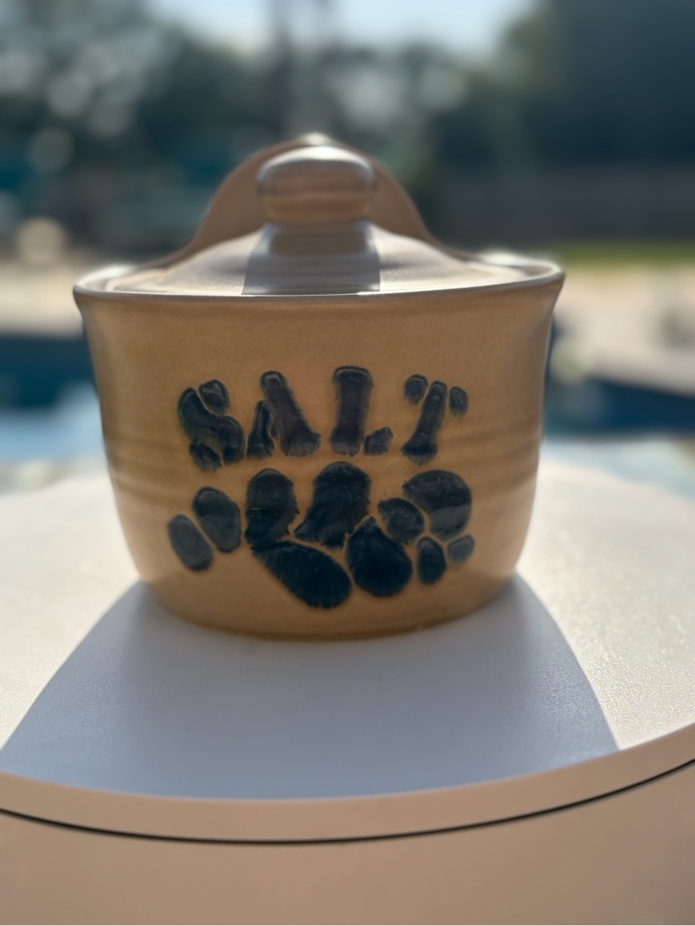 Pfaltzgraff Tan Ceramic Pet Treat Jar with Blue Paw Print